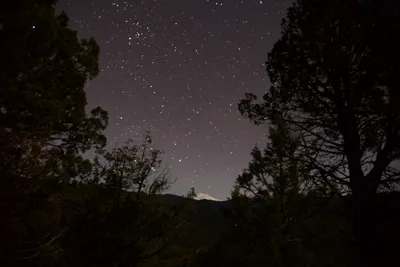 DSC_1108 (Large).JPG